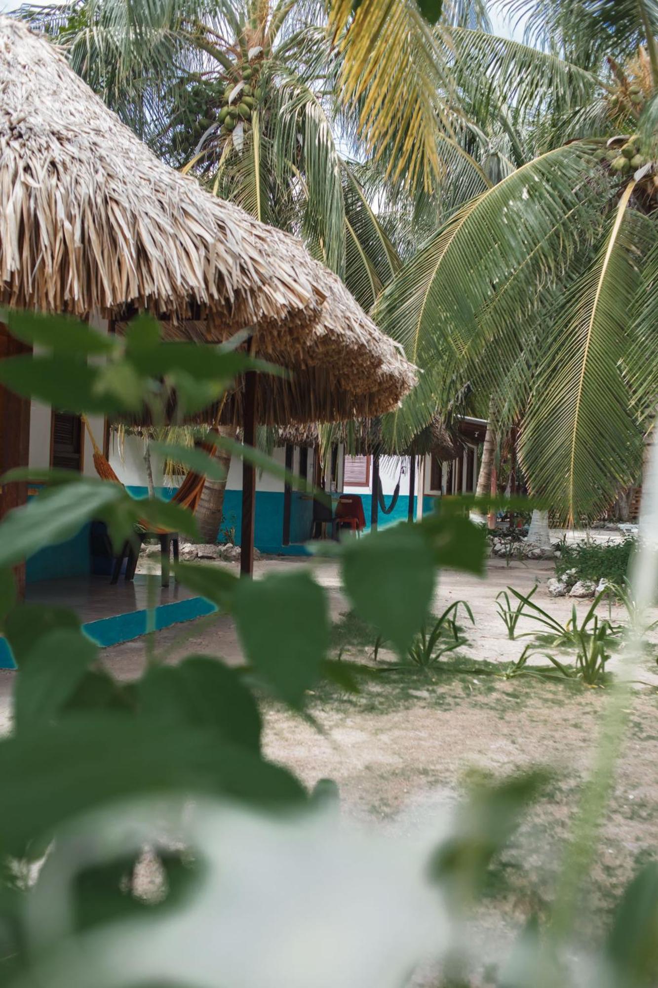 Isla Grande Eco-Hostal المظهر الخارجي الصورة