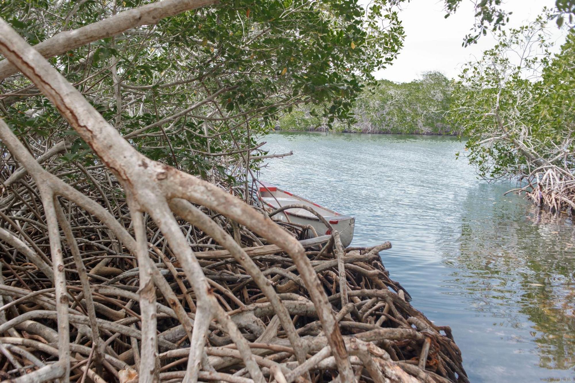 Isla Grande Eco-Hostal المظهر الخارجي الصورة